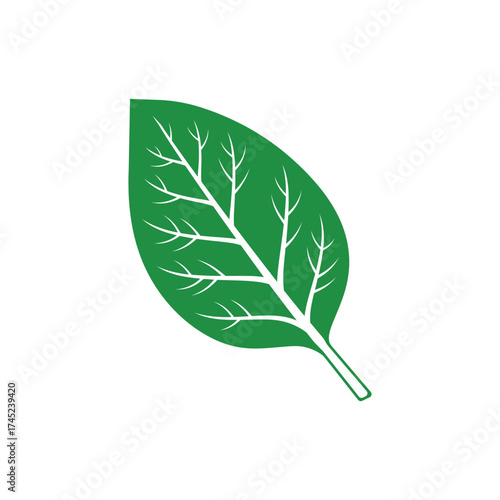 Vibrant green leaf with intricate white veins natural element for organic designs vector