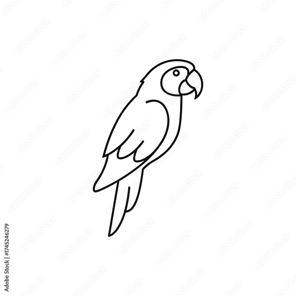 Fototapeta premium A detailed line drawing of a parrot perched, showcasing its features against a plain background