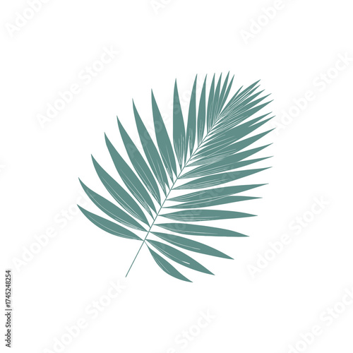 A vibrant green palm leaf gracefully positioned against a clean white background, ideal for nature-themed designs