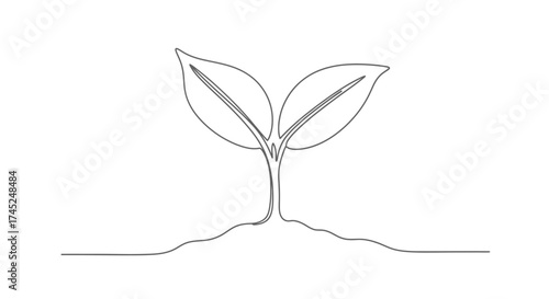 A simple line drawing of a small plant sprouting from the ground, showing leaves.
