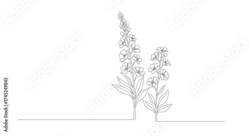 A minimalist continuous single line drawing of two elegant flowering plant stalks on a clean white background.