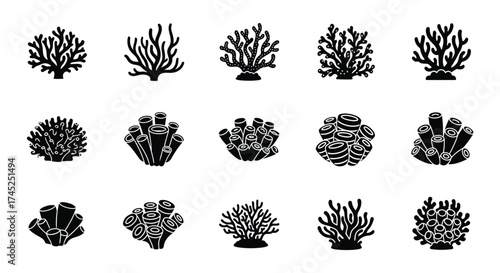 Various black coral illustrations on a white background