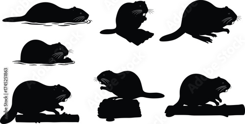 Beaver silhouette collection, wildlife animal illustration, aquatic rodent vector, nature lodge builder, dam construction, forest river habitat, log wood design