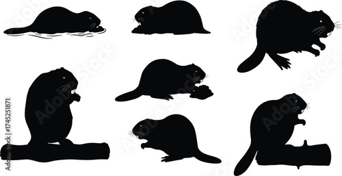 Beaver silhouettes collection, wildlife animal vector set, dam builder illustration, nature forest rodent, swimming, chewing wood, log climbing, flat tail design