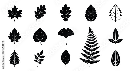 Various leaf silhouettes on white background leaves