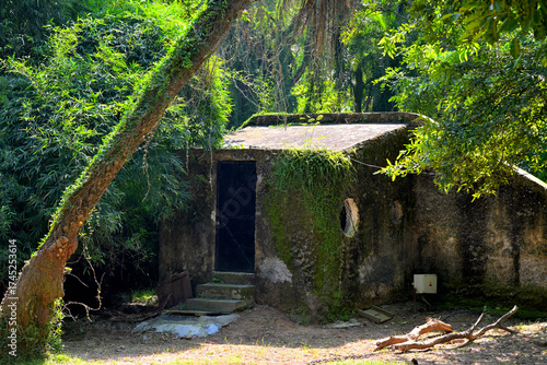 A small, abandoned concrete structure partially covered in moss and climbing plants is nestled in a lush, green forested area. The building has a flat roof and a black door.
