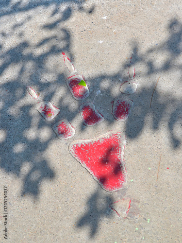 A textured concrete surface features a prehistoric dinosaur footprint impression filled with red color. The footprint consists of a three-toed design indicative of theropod dinosaurs.