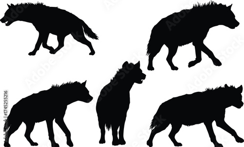 Hyena silhouette animal vector illustration, wild predator design, African wildlife artwork, carnivore graphic, scavenger mammal drawing, nature posture image, zoology icon