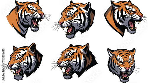 Tiger head illustration set, roaring wild animal face, aggressive predator artwork, fierce jungle cat design, wildlife mascot vector art