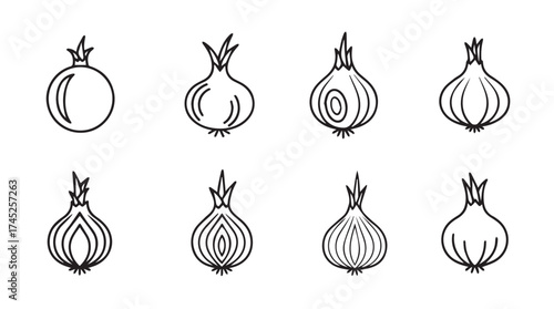 Hand drawn onion icons set different styles sketch simple food ingredient graphics vector