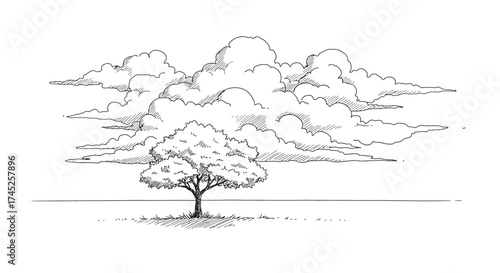 A solitary tree stands beneath a dramatic cloud filled sky illustration