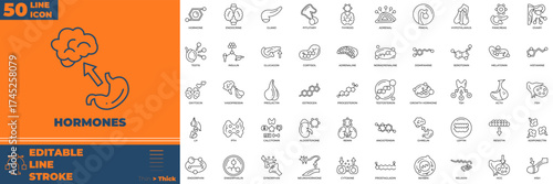 Hormones Line Editable Icons set. Vector illustration in modern thin line style of hormones icons: molecular, science, stroke, etc