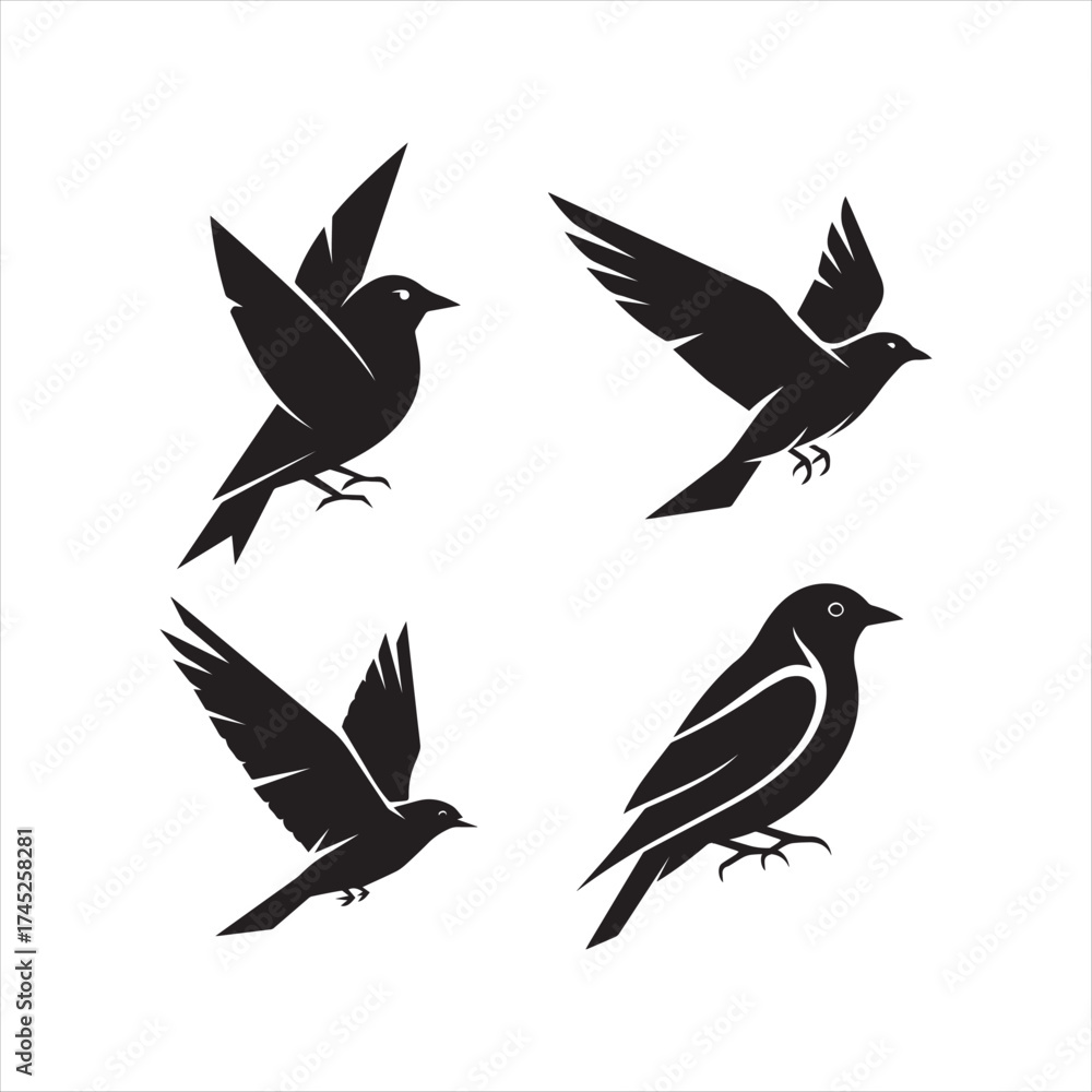 Fototapeta premium set of vector birds