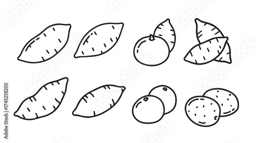 Hand drawn line art sweet potatoes and oranges isolated on for design vector