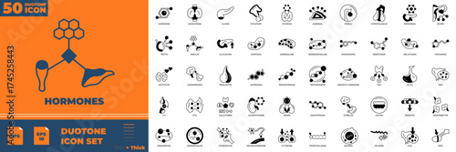 Hormones Duotone Editable Icons set. Vector illustration in modern thin solid style of hormones icons: molecular, science, stroke, etc