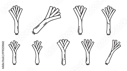 Collection of hand-drawn leeks isolated on white for fresh food design vector