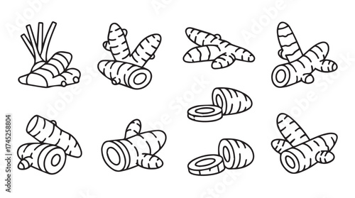 Collection of turmeric root images different angles and sections isolated on vector