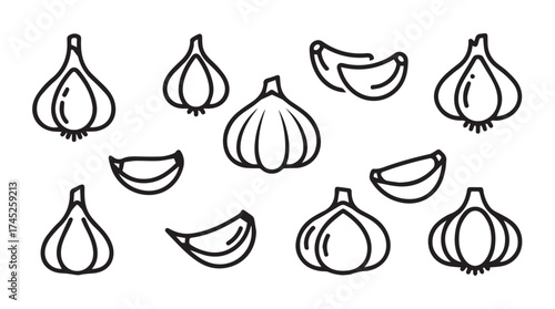 Hand drawn garlic bulbs and cloves collection simple sketch art fresh ingredients vector