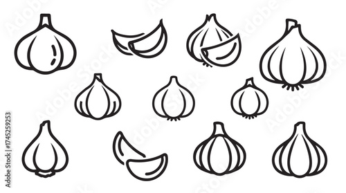 Hand drawn garlic elements isolated simple sketch collection culinary ingredient art vector