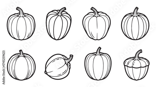 Collection of hand drawn pumpkin illustrations for fall harvest and halloween seasonal decoration themes vector