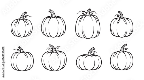 Collection of eight hand drawn whimsical pumpkin sketches for autumn harvest and halloween celebrations vector