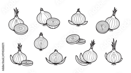 Hand-drawn fresh onions and sliced cross-sections arranged in a decorative collection vector