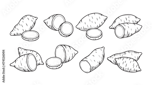 Wholesome sweet potatoes hand drawn sketch collection isolated natural root vegetable harvest organic food vector