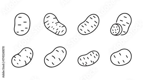 Collection of hand drawn potatoes various angles simple line art agricultural food ingredients vector
