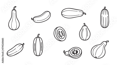 Collection of hand drawn line art gourds and squash varieties fresh produce sketch vector