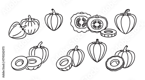 Hand drawn whisked vegetables sketch collection fresh food ingredients botanical art botanical sketches vector