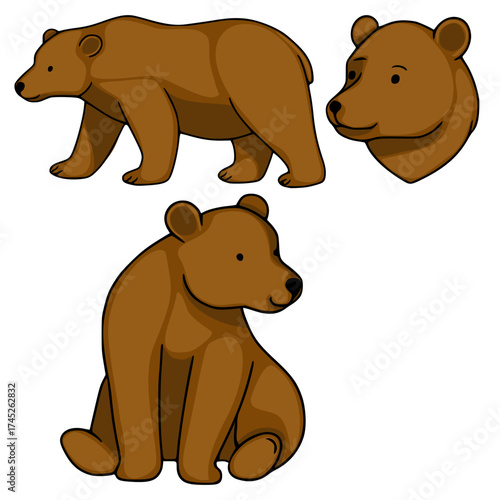 A charming vector illustration set featuring a brown bear in three distinct poses: standing, sitting, and a head profile, rendered with clean lines and a warm, inviting color palette.