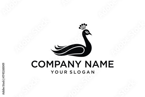 Peacock vector silhouette illustration isolated on white background. Glamour noble bird. Shape Peacock shadow.