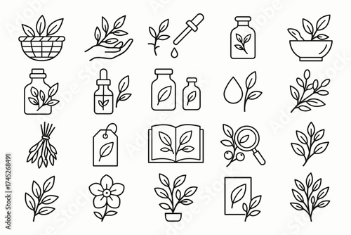 Herbal and Essential Oil Line Icon Set
