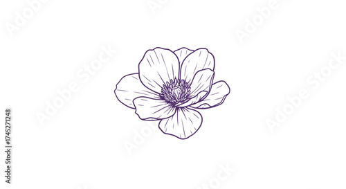 Delicate floral sketch of a blossoming flower in muted purple tones