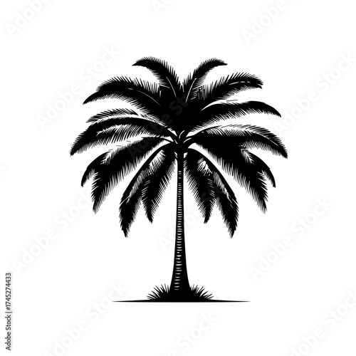 Exotic Tropical Palm Tree Vector Illustration