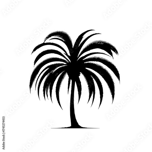 Tropical Island Palm Tree Vector Illustration