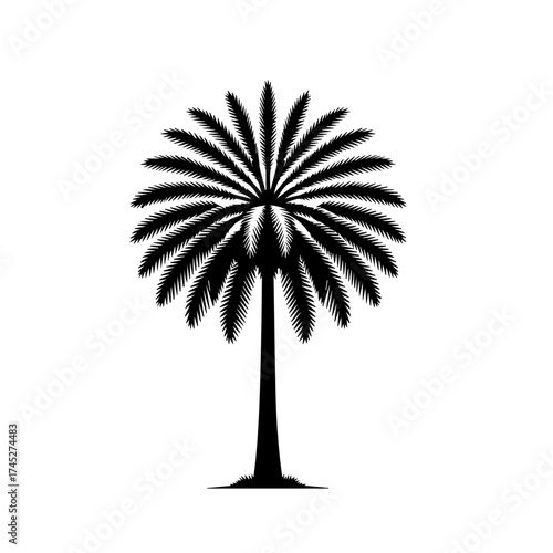 Green Tropical Palm Tree Vector Illustration