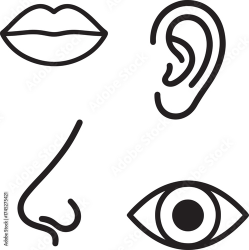 Human Senses Icons Silhouette Vector Illustration Set Bundle of Eye Ear Nose Mouth

