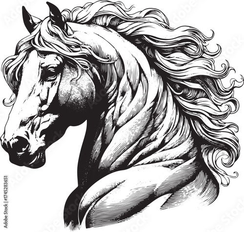 Stunning monochrome horse portrait with flowing mane, perfect for equestrian enthusiasts and creative design projects, conveying strength and beauty