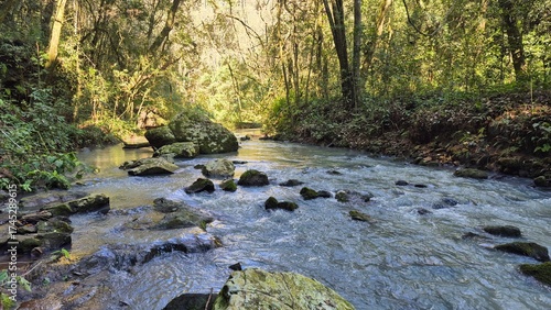 Waterfalls and rivers in the Amazon rainforest
