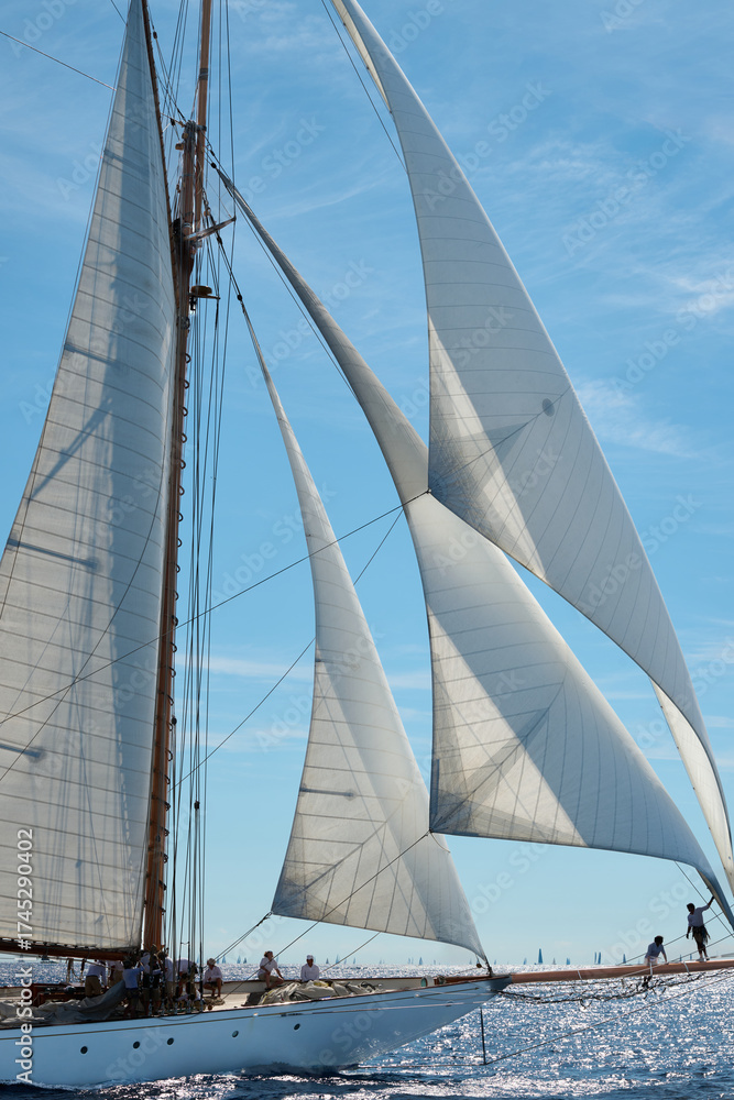 Fototapeta premium sailing ship on the sea