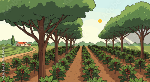 Beautiful Coffee Plantation With Trees And House In The Background