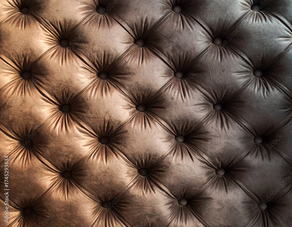 Fototapeta premium Luxury Sofa Texture, Leather Surface