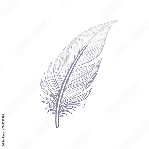 Elegant Quill Feather Illustration with Delicate Lines and Subtle Gradients