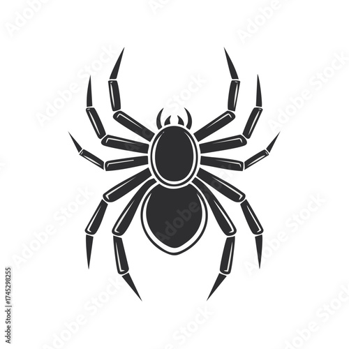 Minimalist black spider silhouette vector illustration insect arachnid spooky Halloween icon