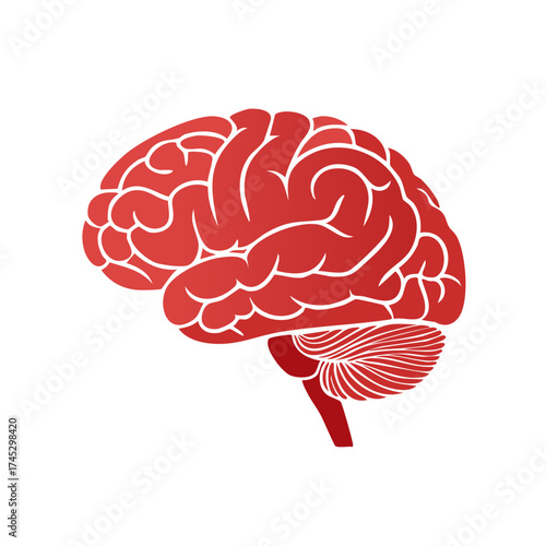 Stylized red human brain graphic, side view illustration for mind, intelligence, and neuroscience concepts