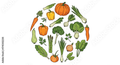 A vibrant arrangement of fresh healthy vegetables forming a circle suggesting a balanced diet.