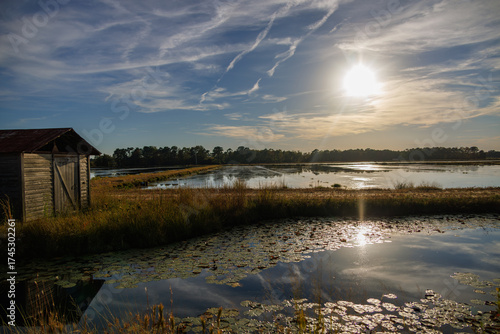 Rustic wooden shed beside a calm Pine Barrens marsh, with sunlight reflecting on lily-covered water beneath a vivid blue sky streaked with clouds.