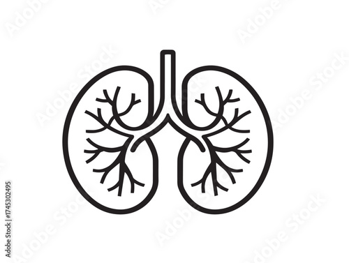 Human organ icon 2D vector line art in a clean minimalist style