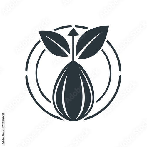 Cocoa Seed with Leaves Sprouting Symbol, Natural Ingredient Agriculture Icon